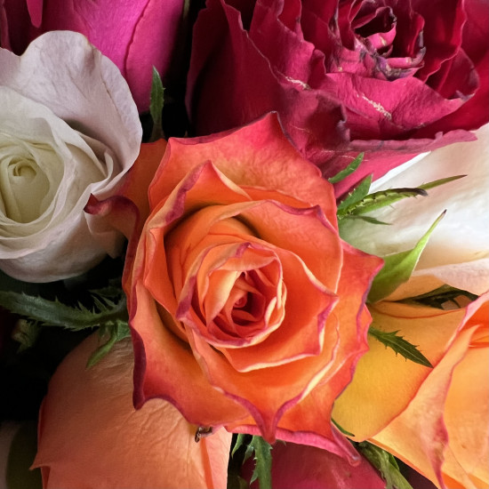 Букеты из роз Букет из 21 розы Кения